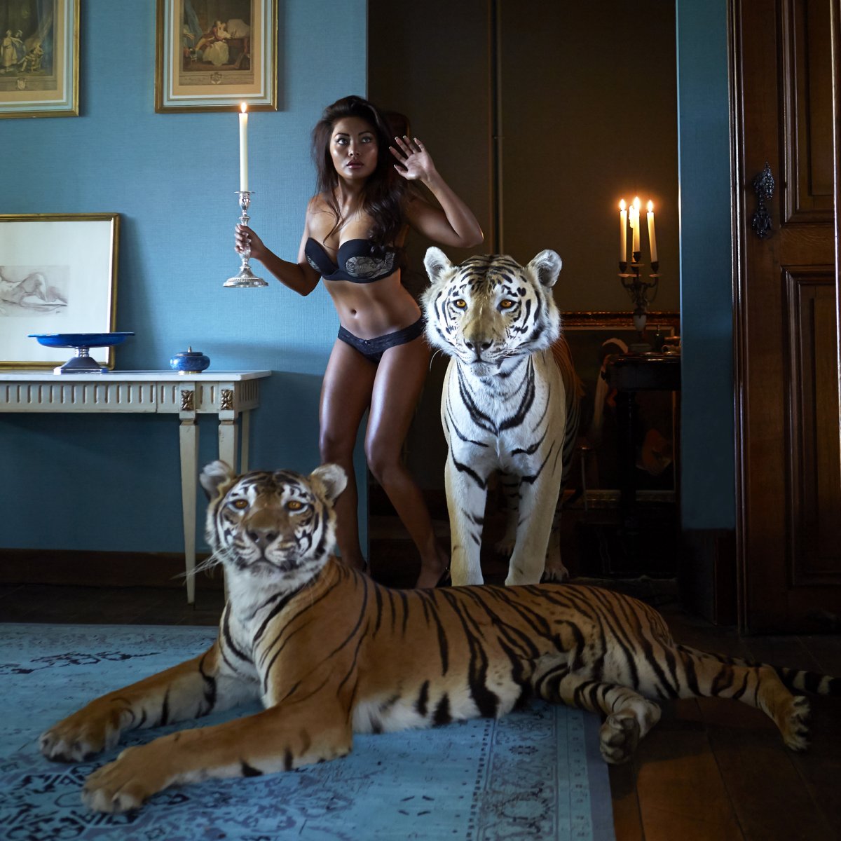 Tigre et tigresse